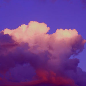 Meet your Posher, Oscar